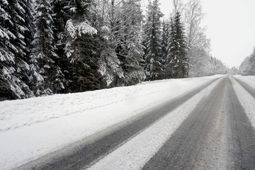 Beautiful winter landscape with snow-covered trees and road in Latvia.