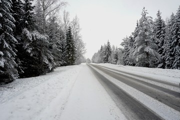 Fototapeta premium Beautiful winter landscape with snow-covered trees and road in Latvia.
