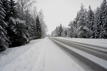 Beautiful winter landscape with snow-covered trees and road in Latvia.