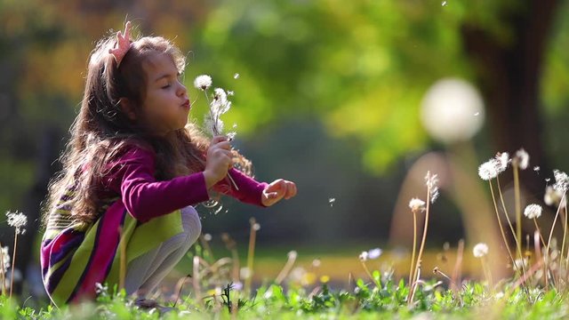 Flying dandelion. Cute little girl blowing  dandelions in autumn park. Wishes, dreams, playtime
