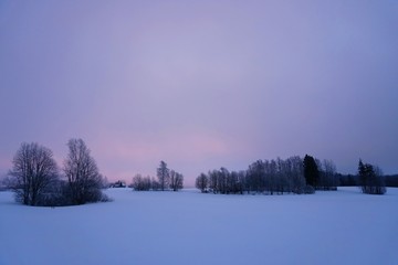 Beautiful winter landscape with snow-covered trees in Latvia. Blue morning light