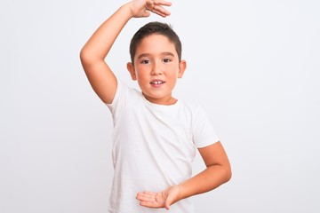 Beautiful kid boy wearing casual t-shirt standing over isolated white background gesturing with hands showing big and large size sign, measure symbol. Smiling looking at the camera. Measuring concept.