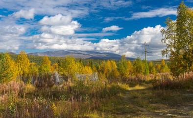 Fototapeta na wymiar Late autumn in the north of Russia.