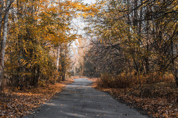 road street city Chernobyl Ukraine in autumn