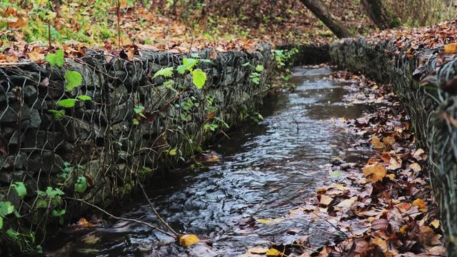 Autumn small brook flowing in canal in park