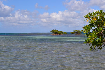 mer guadeloupe