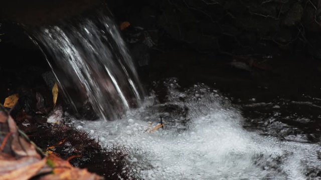Park watercourse with small waterfall, close-up