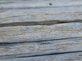 old wood texture background