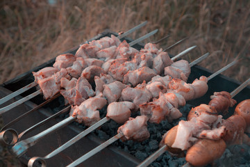 Shish kebab fried on grill. Pork shish kebab fried on skewer grill in the park
