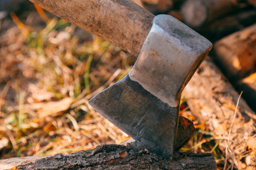 Firewood and ax in wood. Ax cleaver and a lot of firewood, tree, forest, split, cut, fuel, work,...