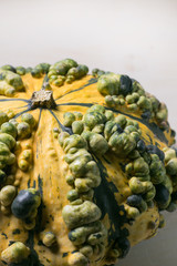 pumpkin background texture material on white surface