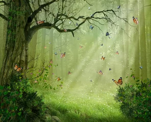 Keuken foto achterwand Sprookjesbos Magisch bos. Fotomanipulatie. 3D-weergave.
