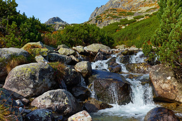 Fototapeta na wymiar Mountain creek near to Skok waterfall in High Tatras National park, Slovakia