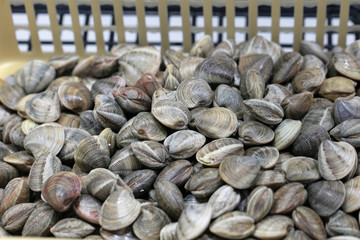 mercado