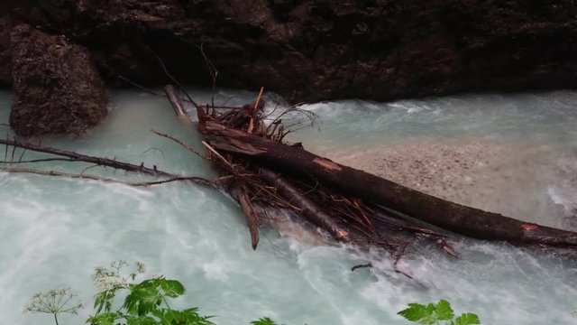 Inside the Partnach Gorge flowing wild water beside the rocks and broken tree branches.