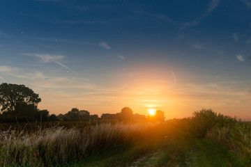 Grass blowing in the wind along a path with the sun coming up on the horizon 