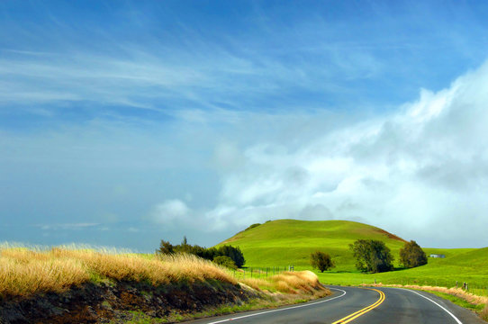 Curving Road Tops Kohala Mountains