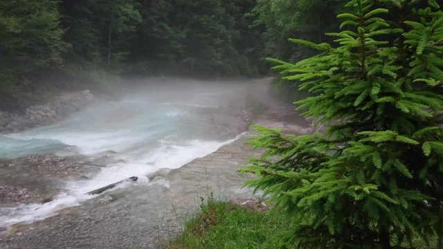 Water stream in foggy forest with pine tree on foreground in Garmisch-Partenkirchen / Germany.