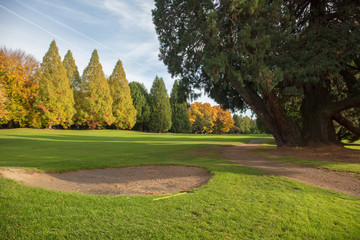 Golf course