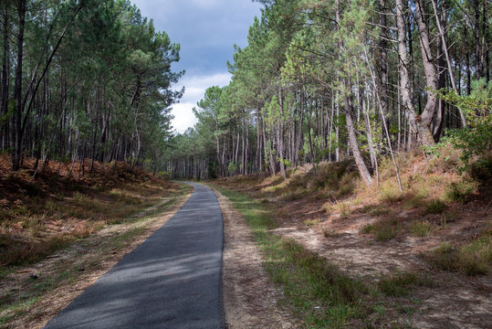 piste cyclable des landes de gascogne