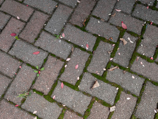 close-view of stone pavement in the garden in the fall