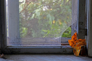 Ein Herbstblatt liegt auf einem alten kaputten Fenster