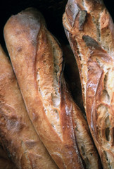 Freshly baked crusty long bread rolls