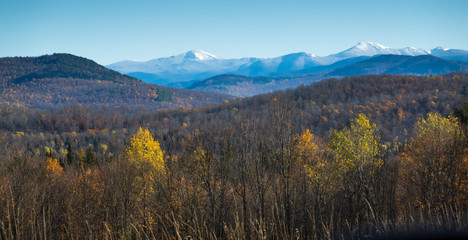 Fall colours on a sunny day