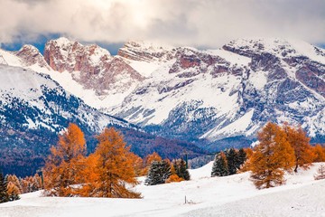 snowy early winter landscape in Alpe di Siusi. Dolomites  Italy - winter holidays destination
