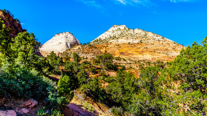 The white peaks of the sandstone Mountains and Mesas along the Zion-Mt.Carmel Highway on the East Rim of Zion National Park in Utah, United States
