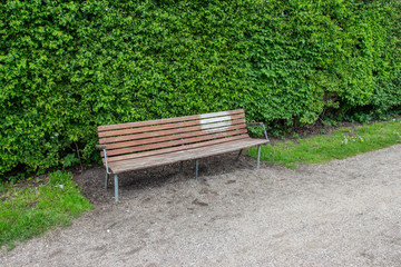 bench in the garden