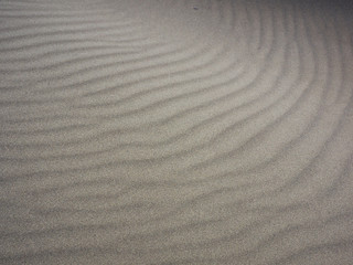 Fototapeta na wymiar Gray sand dune with textures