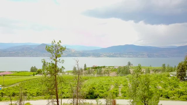 4K Aerial Drone Shot Beautiful Naramata Valley with Wineries and Vineyards on Okanagan Lake in British Columbia, Canada