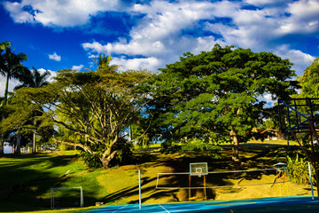 paisaje eje cafetero colombia biodiversidad bosque guadual quindio armenia pereira colombia