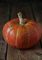 pumpkin on a dark background. copy space.