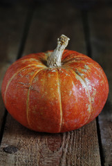 pumpkin on a dark background. copy space.