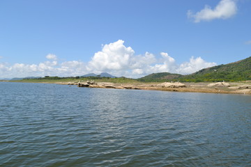 naturaleza  arboles  presa  lago  