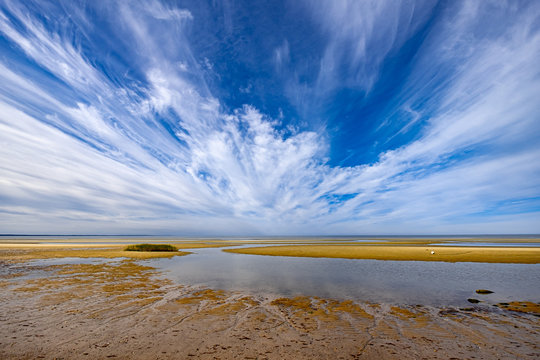 Thumpertown Beach 24