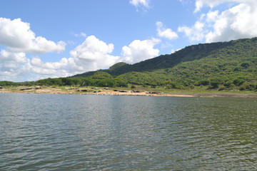 naturaleza  arboles  presa  lago  