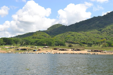 naturaleza  arboles  presa  lago  