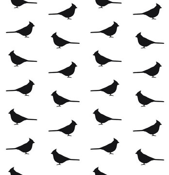 Vector seamless pattern of red cardinal bird silhouette isolated on white background