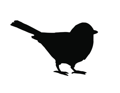 recommend clip art: Vector black tit bird silhouette isolated on white background