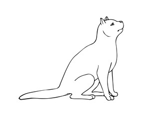 Vector hand drawn sketch sitting cat isolated on white background
