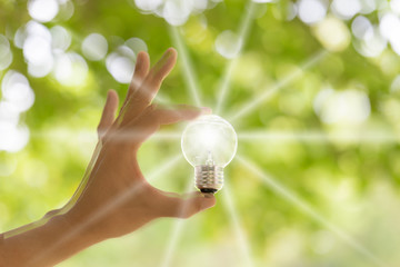 電球の光　自然エネルギー　エコイメージ