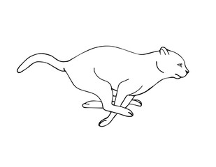Vector hand drawn sketch running cat isolated on white background