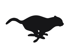 Vector black running cat silhouette isolated on white background