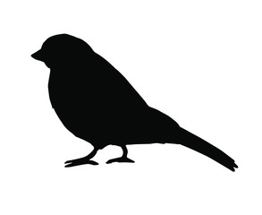 Vector black bullfinch sparrow bird silhouette isolated on white background