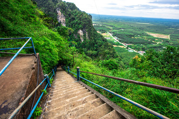 Panorama nature background on high mountains, various tree species and forest abundance, blurred...