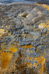 Thermal activity in the upper geyser basin. Yellowstone National Park, Wyoming