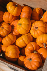 Small pumpkins in wood box on a farmer market - 297947496